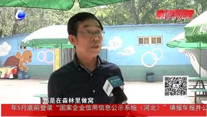 村民家中發(fā)現(xiàn)“啄木鳥”？實(shí)為戴勝