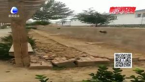 倒塌小圍墻被修好 村民安心過(guò)雨季