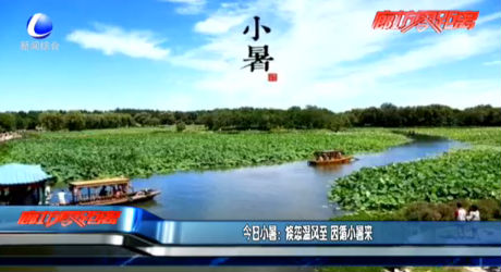 今日小暑：倏忽溫風至 因循小暑來