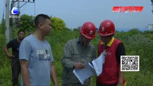 電力部門集中清理樹(shù)障 保障電網(wǎng)供電安全