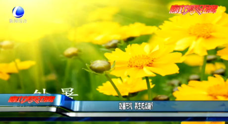 處暑節(jié)氣 養(yǎng)生吃點(diǎn)啥？