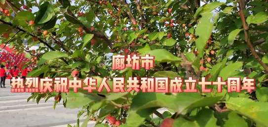 廊坊市組織開(kāi)展“我和我的祖國(guó)”國(guó)慶快閃活動(dòng)