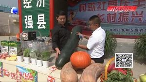 永清縣龍虎莊鄉(xiāng)舉辦“村歌社舞慶豐收 鄉(xiāng)村振興迎華誕”慶?；顒?dòng)