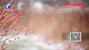 今日“小雪”：花雪隨風不厭看 一片飛來一片寒