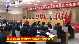 三河市委召開(kāi)六屆五次全會(huì)學(xué)習(xí)貫徹黨的十九屆四中全會(huì)省委九屆九次全會(huì)和市委六屆八次全會(huì)精神