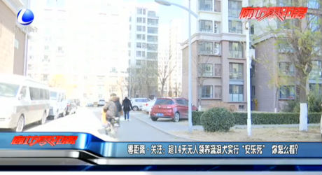 零距離·關注：超14天無人領養(yǎng)流浪犬實行“安樂死” 你怎么看？