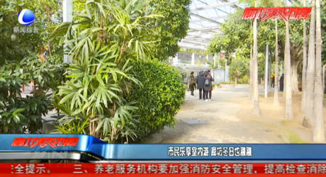 市民樂享室內游 廊坊冬日也融融