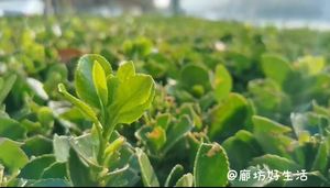 廊坊好生活，讓你的生活有滋有味