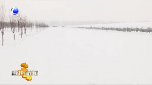 市農(nóng)業(yè)農(nóng)村局應(yīng)對(duì)降雪 保障農(nóng)業(yè)生產(chǎn)