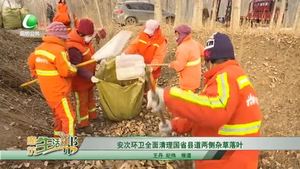 安次環(huán)衛(wèi)全面清理國(guó)省縣道兩側(cè)雜草落葉