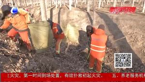環(huán)衛(wèi)徹底清掃國(guó)省縣道兩側(cè)秋冬季雜草落葉 提高環(huán)境質(zhì)量