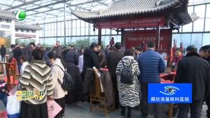 “同心同書 祖國新春好”書法送福活動在九天休閑谷舉行