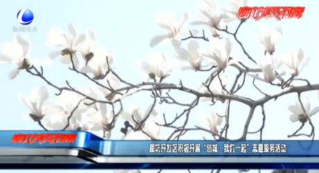 廊坊開發(fā)區(qū)積極開展“創(chuàng)城·我們一起”志愿服務活動