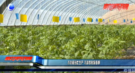 不負春光忙生產 不誤農時保春耕