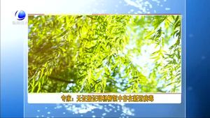 專家：無(wú)證據(jù)證明楊柳絮中存在新冠病毒