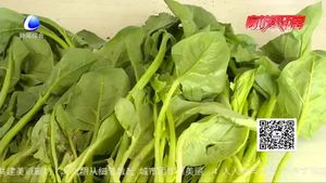 食在好源頭——菠菜的營養(yǎng)價(jià)值