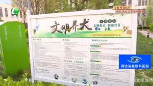 創(chuàng)城，我們一起：專項(xiàng)整治在行動 引導(dǎo)市民依法文明養(yǎng)犬