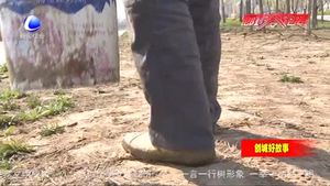 路貴?。河媚_步丈量土地 用汗水守護碧水