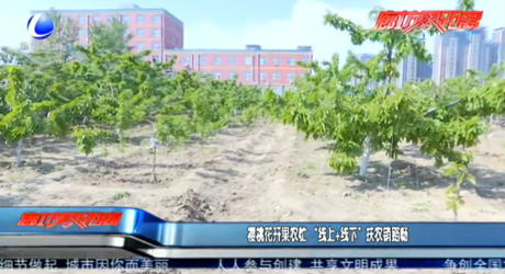 櫻桃花開(kāi)果農(nóng)忙 “線上+線下”扶農(nóng)銷路腸