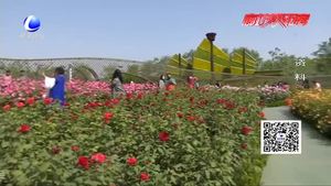《廊坊市加強大氣污染防治若干規(guī)定》6月1日起正式實施