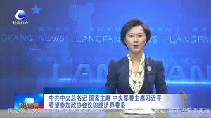 中共中央總書記 國家主席 中央軍委主席習(xí)近平看望參加政協(xié)會議的經(jīng)濟界委會