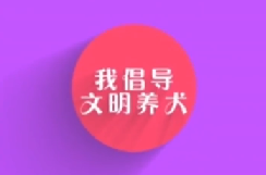 小六倡導文明養(yǎng)犬