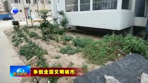 我市部分小區(qū)創(chuàng)建點位問題亟待整改