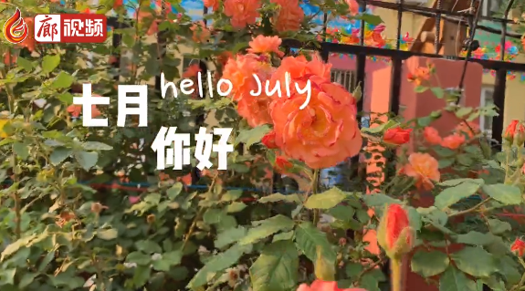 廊視頻 | 六月再見，七月你好