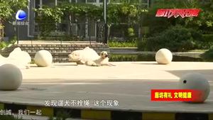 我市開展“文明養(yǎng)犬、愛護環(huán)境”行動  加強養(yǎng)犬管理提升城市形象