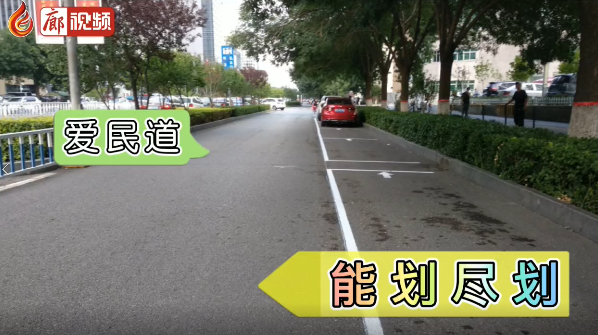 廊視頻|停車有序文明風景