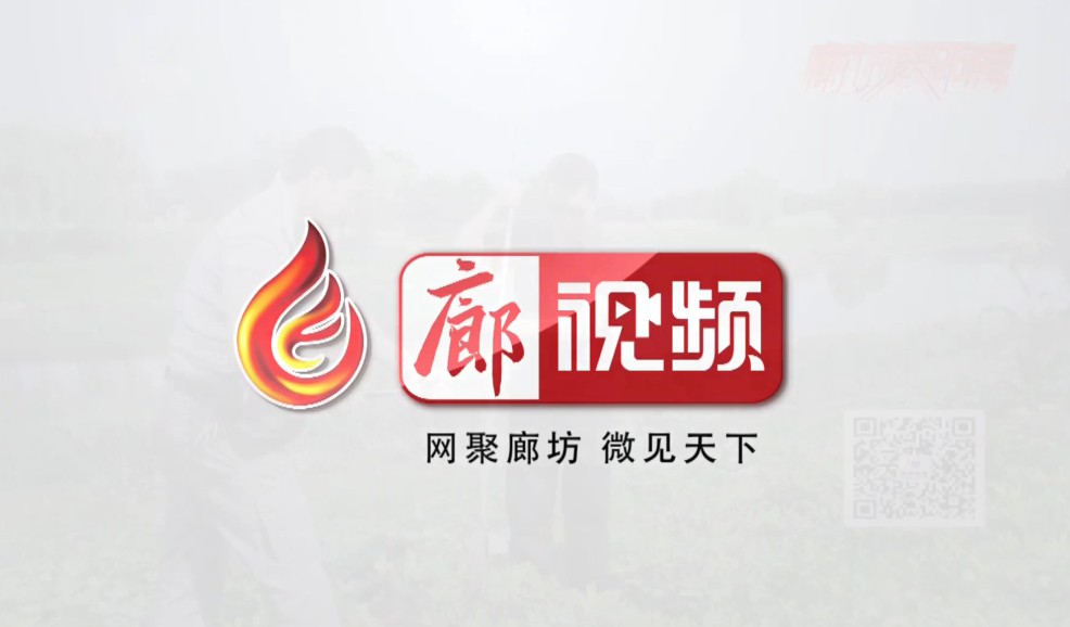 廊視頻 | 廊坊市婦聯(lián)到包聯(lián)社區(qū)指導文明創(chuàng)建工作