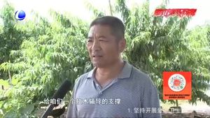 【走向我們的小康生活·幸福來(lái)敲門(mén)】固安賈各莊村種植專業(yè)合作社助力村民奔小康