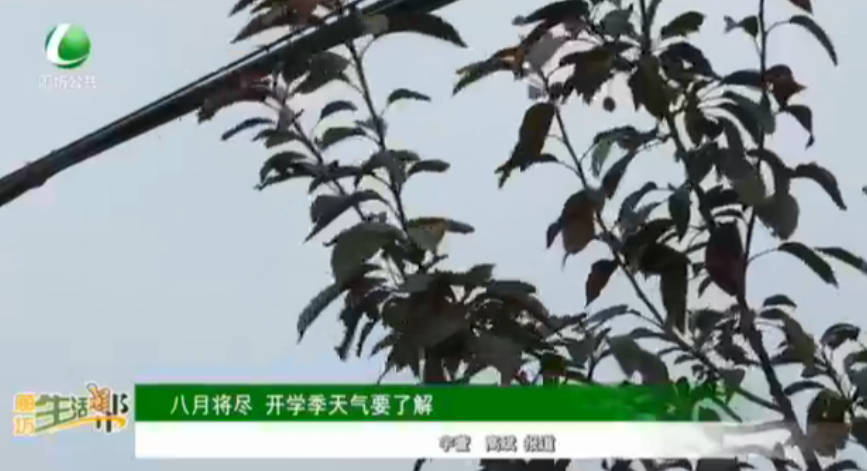 八月將盡 開學季天氣要了解