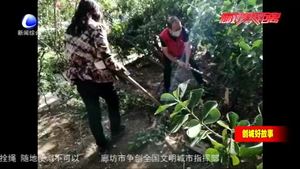 老樓長靳庭賢 74歲堅(jiān)持為街坊服務(wù)