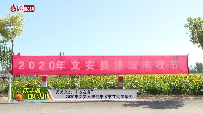  廊視頻 | “慶豐收迎小康”——“秀美文安，豐收在冀”2020年文安縣洼淀豐