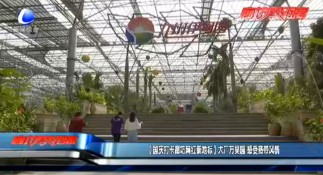 【國慶打卡廊坊網(wǎng)紅新地標】大廠萬果園 感受熱帶風情
