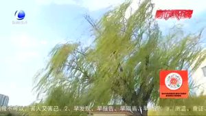 雨后的廊坊 真美！