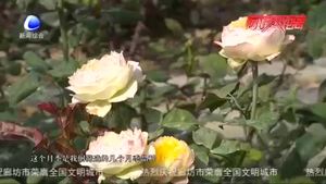 展現(xiàn)創(chuàng)業(yè)風采·建功美麗廊坊——李清清