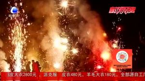 零距離·求真：廊坊將解禁春節(jié)煙花爆竹燃放？民警回應(yīng)：不實消息
