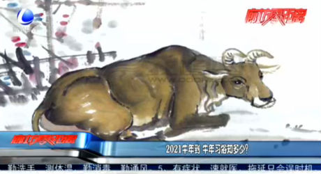 2021牛年到 牛年習(xí)俗知多少？