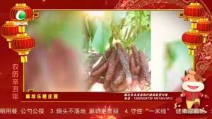【牛氣沖天·話(huà)年俗】正月初二 迎婿日