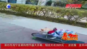 狗狗玩滑板走紅網絡