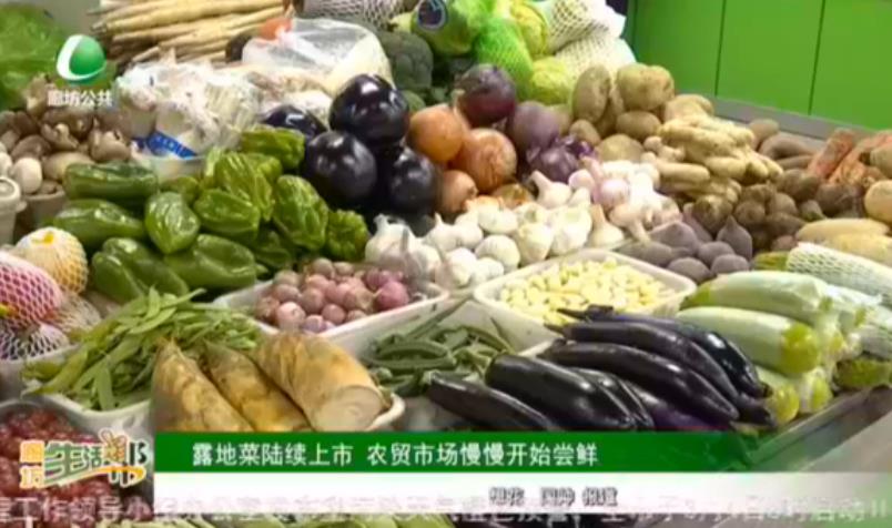 露地菜陸續(xù)上市 農(nóng)貿(mào)市場(chǎng)慢慢開始嘗鮮
