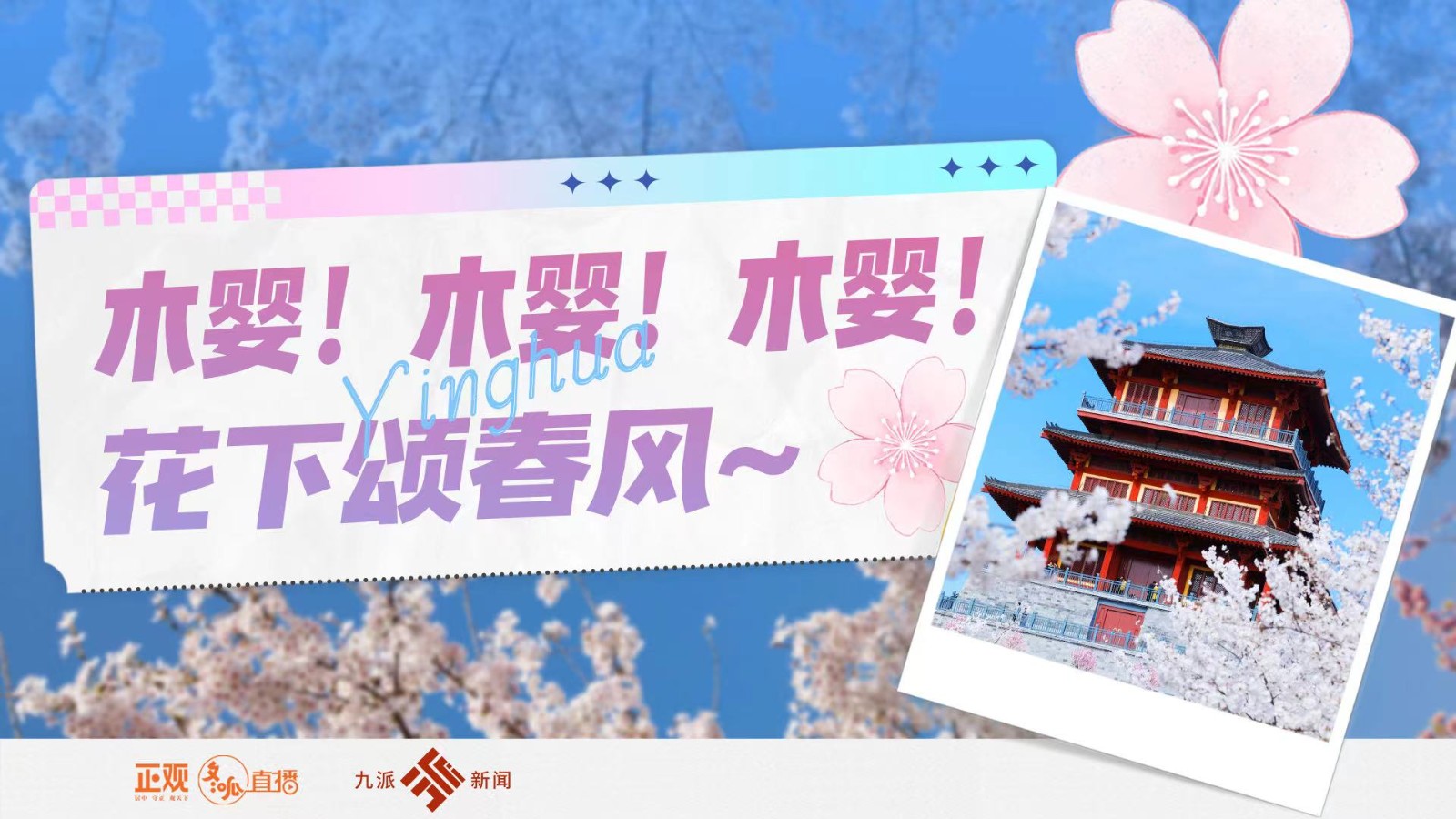 木嬰！木嬰！木嬰！花下頌春風(fēng)~