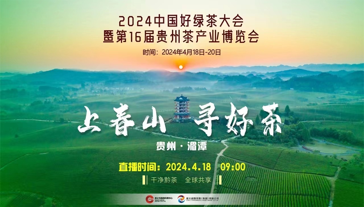“上春山 采春茶”2024來遵義湄潭，一起采春茶