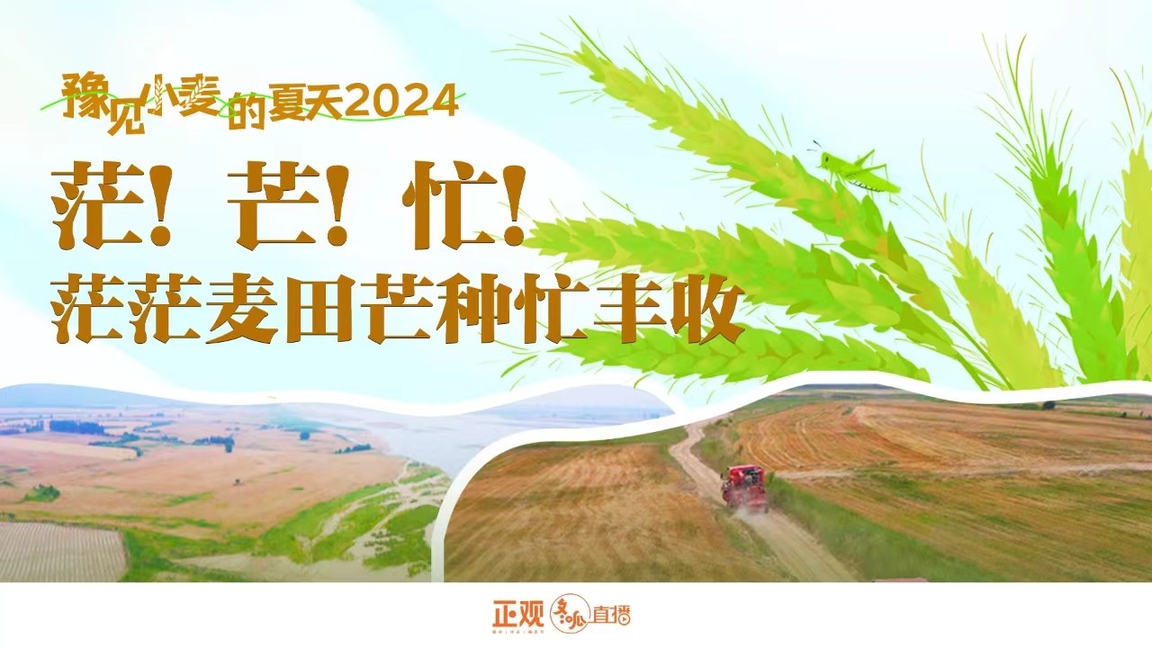 豫見小麥的夏天2024 | 茫！芒！忙！茫茫麥田芒種忙豐收！