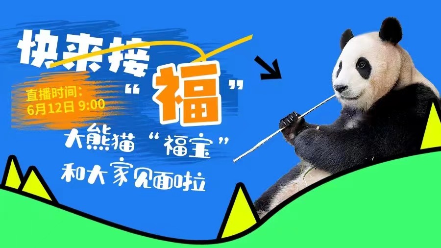 快來接“?！保〈笮茇垺案殹焙痛蠹乙娒胬? />
													</a>
						<dl>
							<dt><a href=