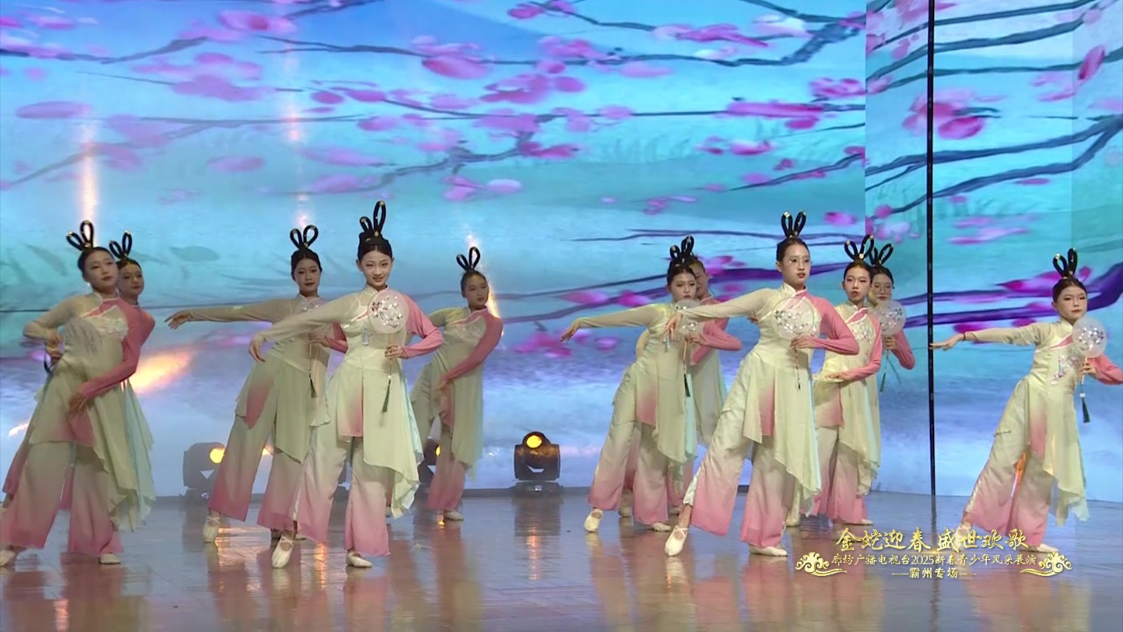 2025新春青少年展演（霸州市藍天藝術(shù)學(xué)校）