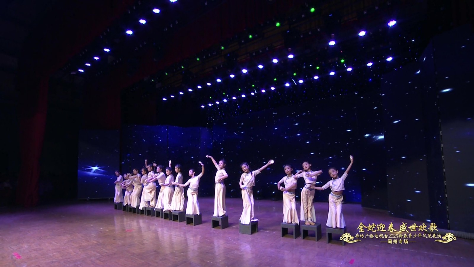 2025新春青少年展演（霸州小小舞者藝術(shù)團）