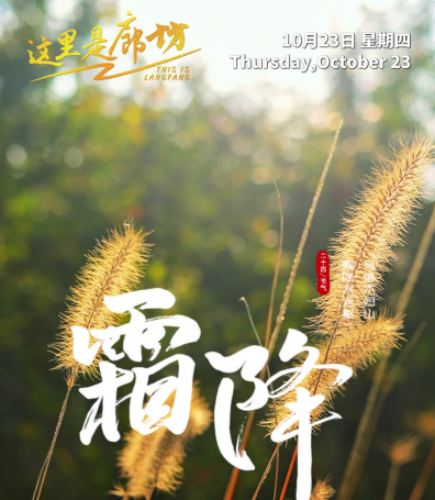 【這里是廊坊】霜降